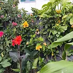 Moradia Com Piscina No Дом отдыха Канису