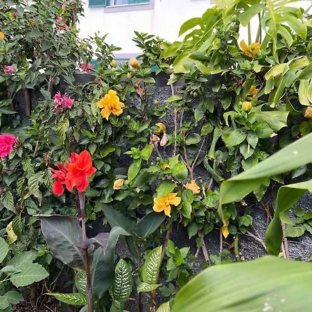 Moradia Com Piscina No Nyaraló Caniço