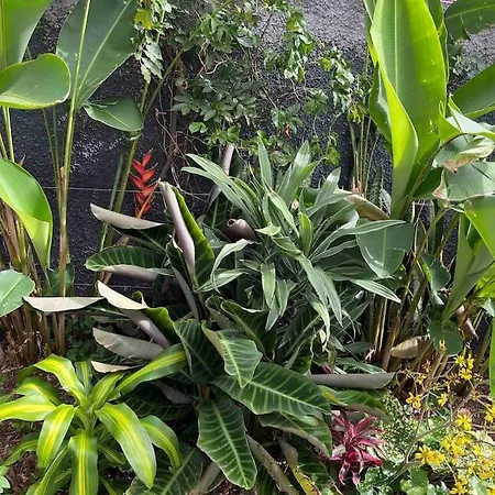 Moradia Com Piscina No Nyaraló Caniço