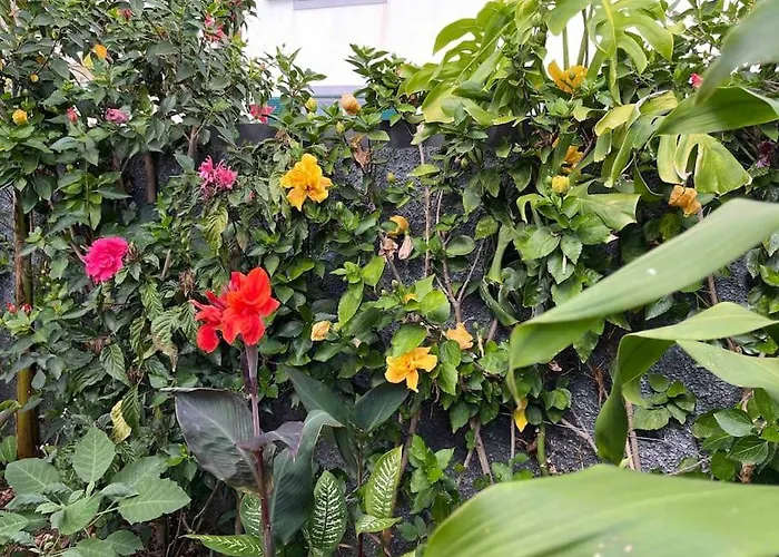 Moradia Com Piscina No Prázdninový dům Caniço