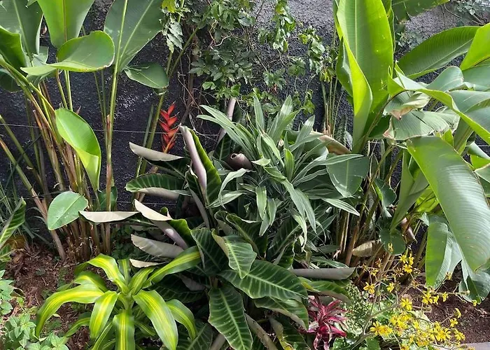 Moradia Com Piscina No Dom wakacyjny Caniço